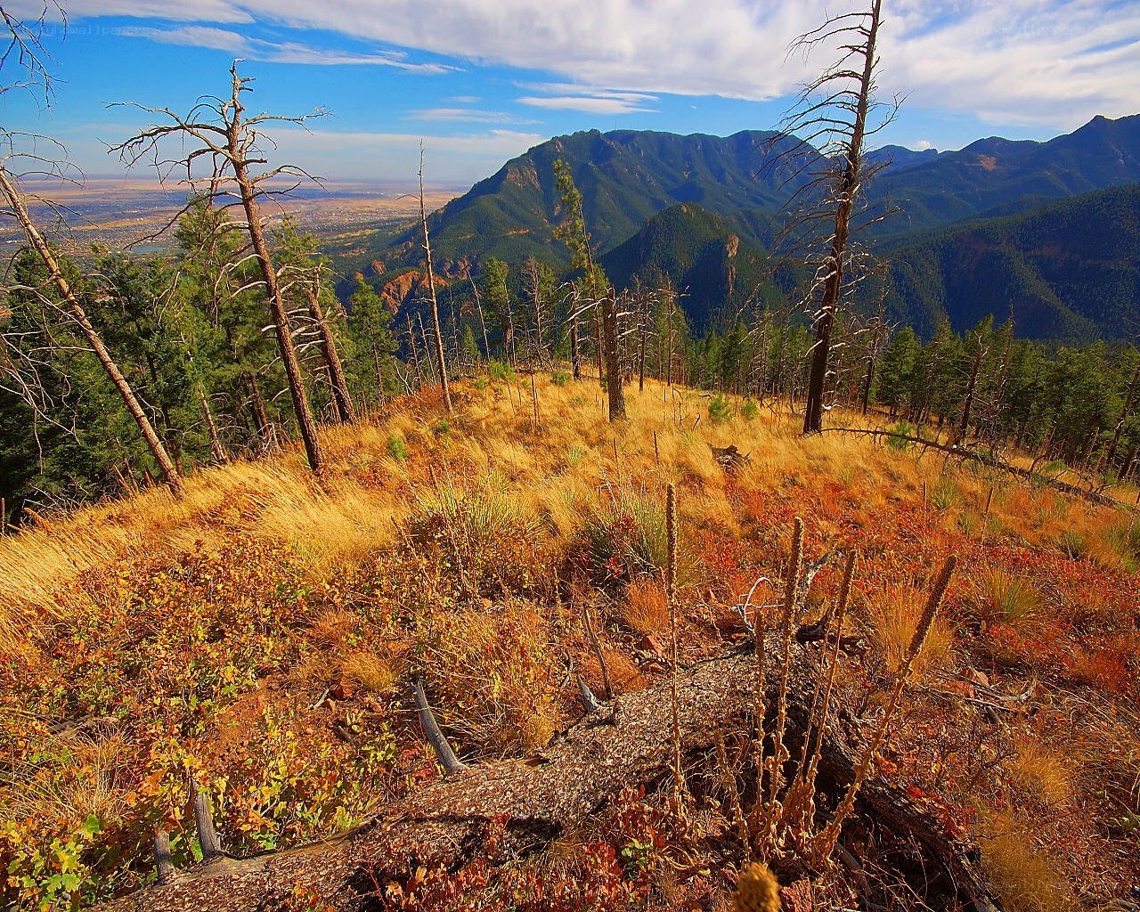 Mountain vista with autumn grass