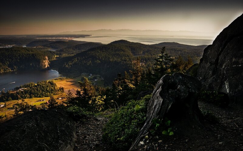 Mountain Vista with Forest — Green