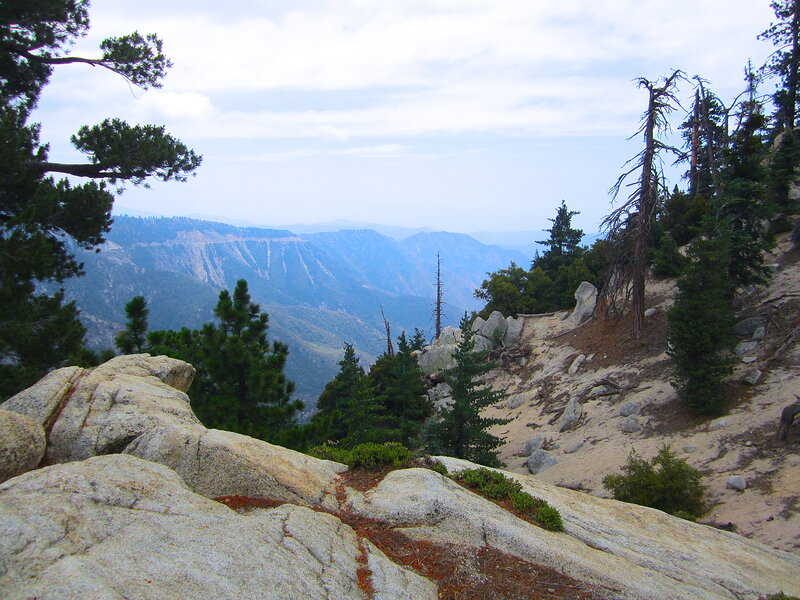 Mountain Vista with Pine Trees