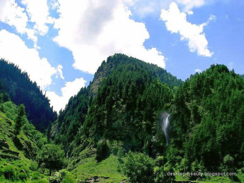 Mountain Waterfall — Green