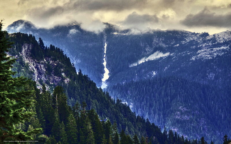 Mountain waterfall in forest