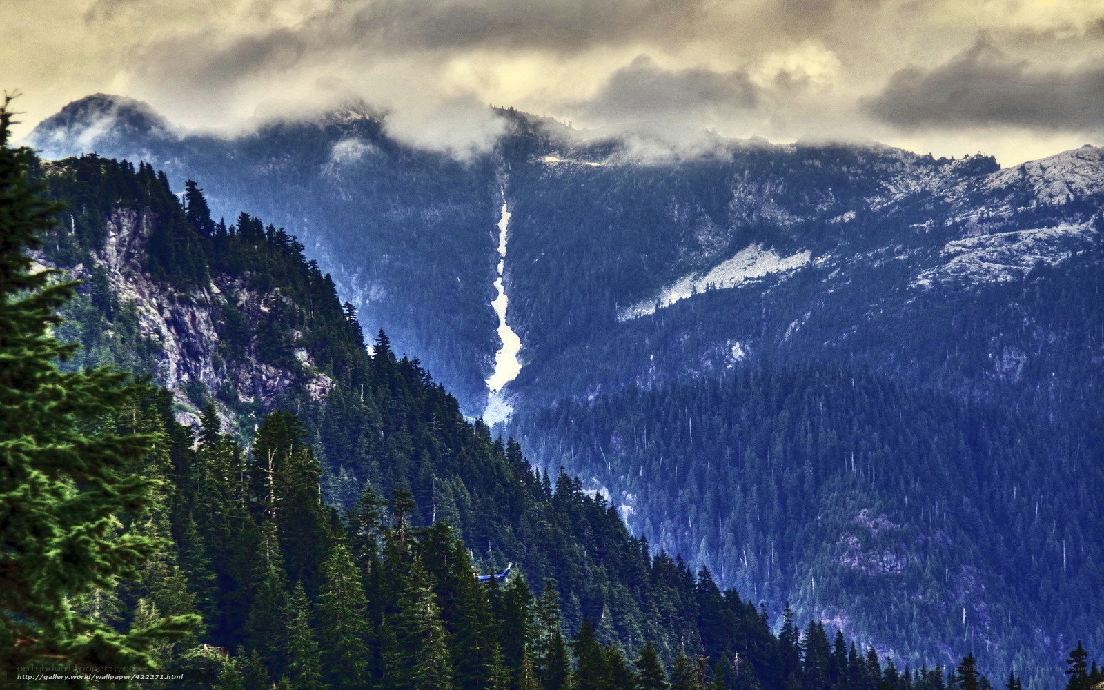 Mountain waterfall in forest