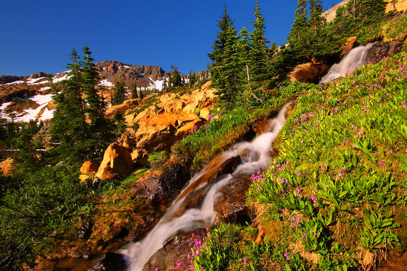 Mountain Waterfall with Flowers