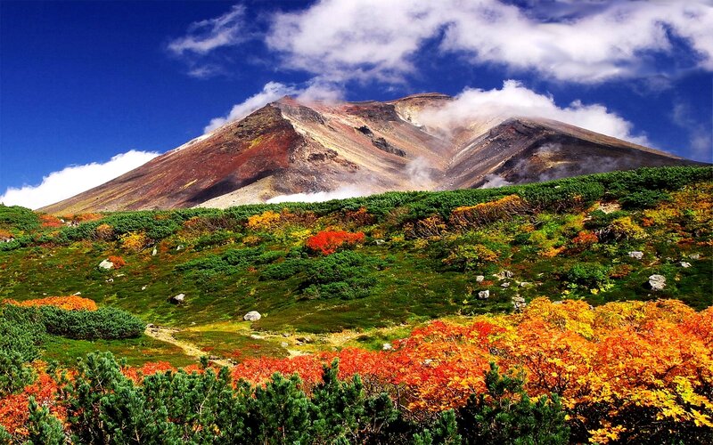 Mountain with Autumn Foliage — Blue