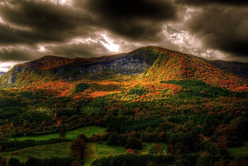 Mountain with Autumn Foliage — Green