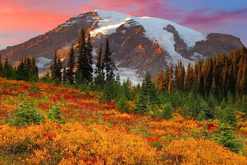 Mountain with Autumn Foliage — Orange