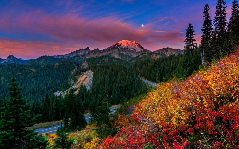 Mountain with Autumn Foliage — Purple, Serene
