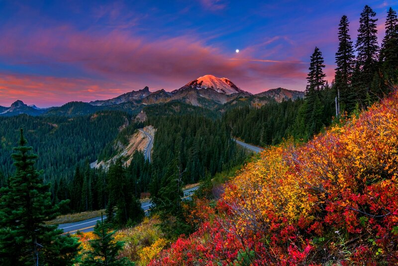 Mountain with Autumn Foliage — Purple
