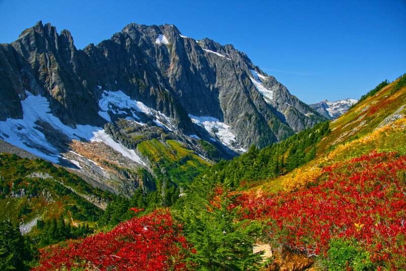 Mountain with Autumn Foliage — Red, Serene