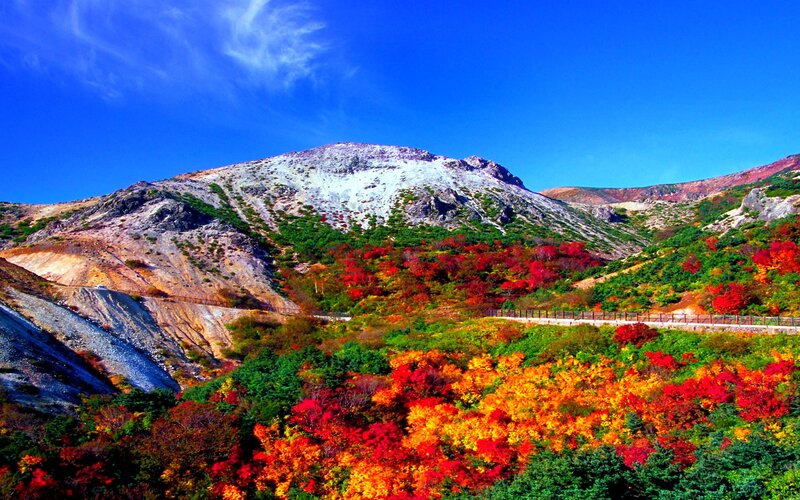 Mountain with Autumn Foliage — Red