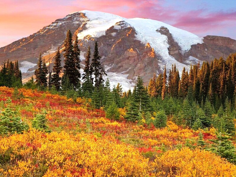 Mountain with Autumn Foliage — Yellow