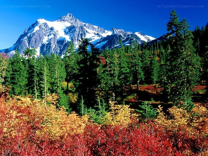 mountain with autumn foliage