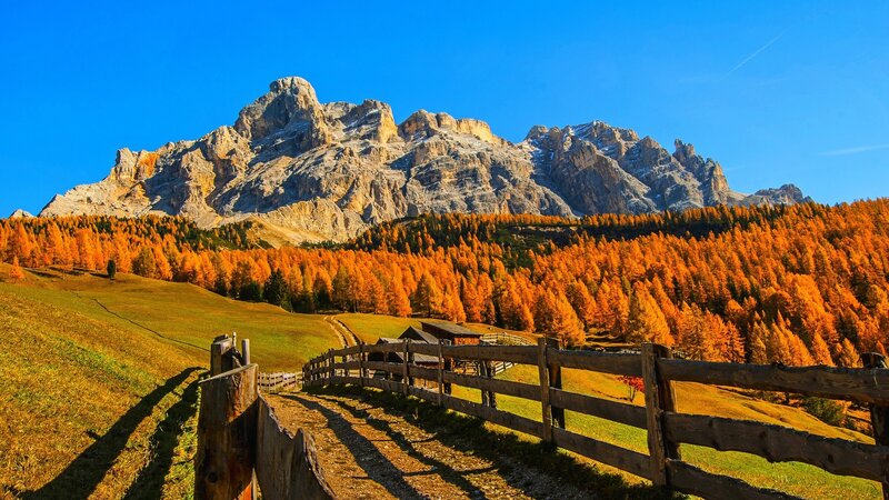 Mountain with Autumn Forest — Blue