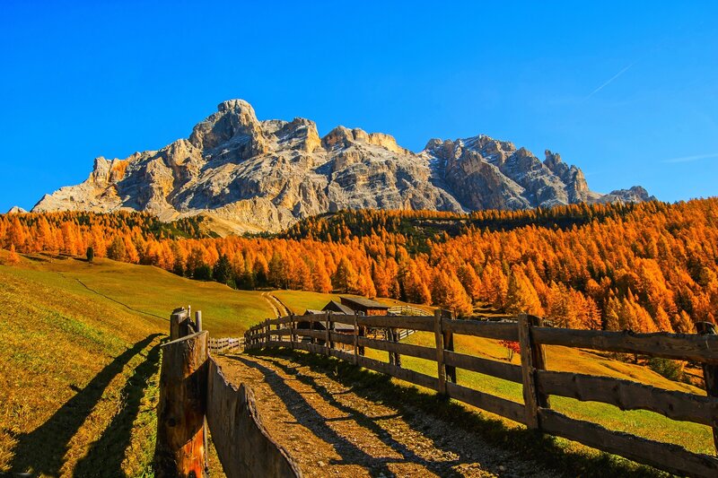 Mountain with Autumn Forest