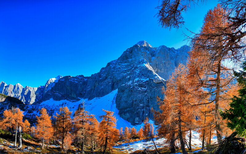 Mountain with Autumn Trees — Blue, Serene, Photograph, Snow