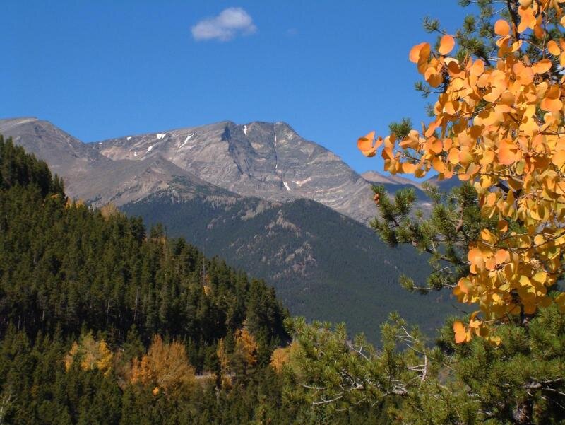 Mountain with Autumn Trees — Blue, Serene, Photograph