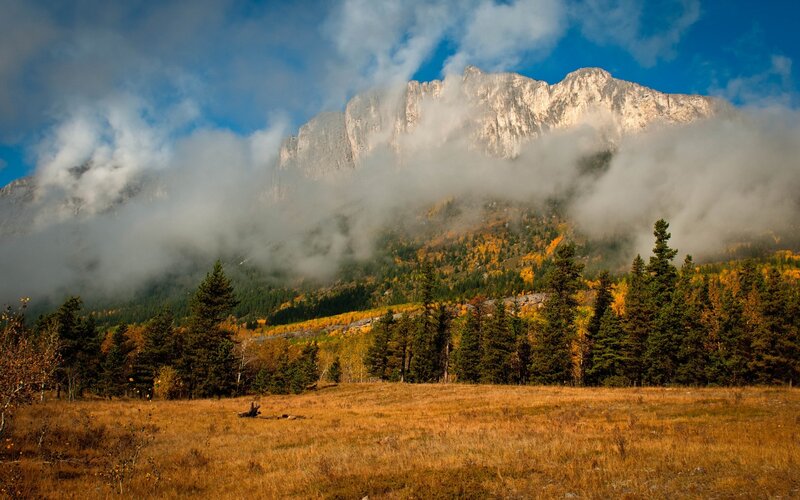 Mountain with Autumn Trees — Brown, Serene