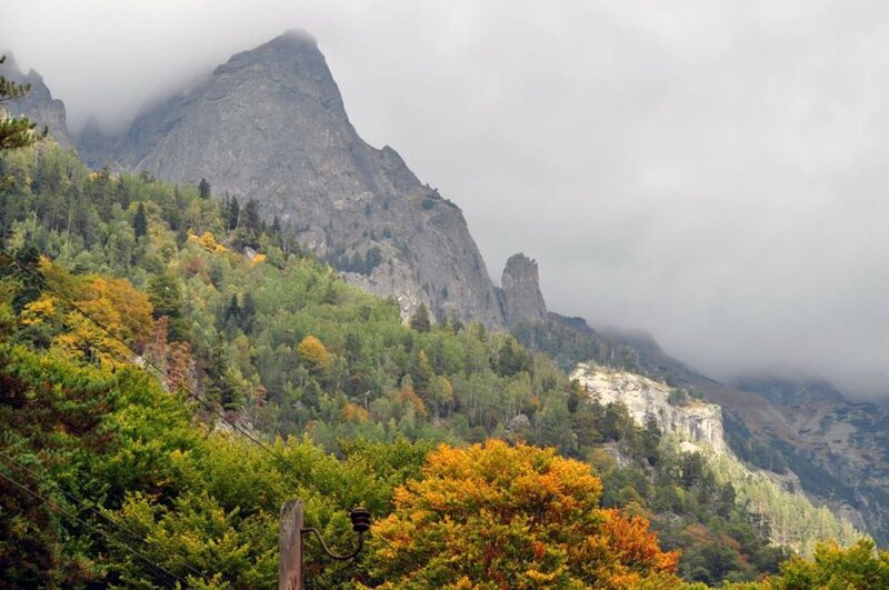 Mountain with Autumn Trees — Green