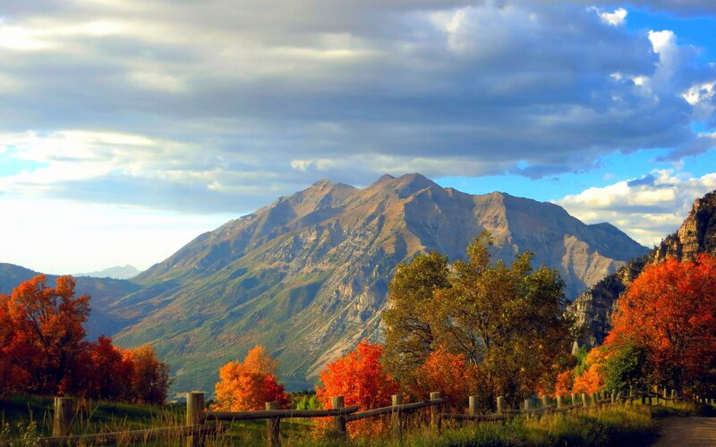 Mountain with Autumn Trees — Orange, Serene, Photograph