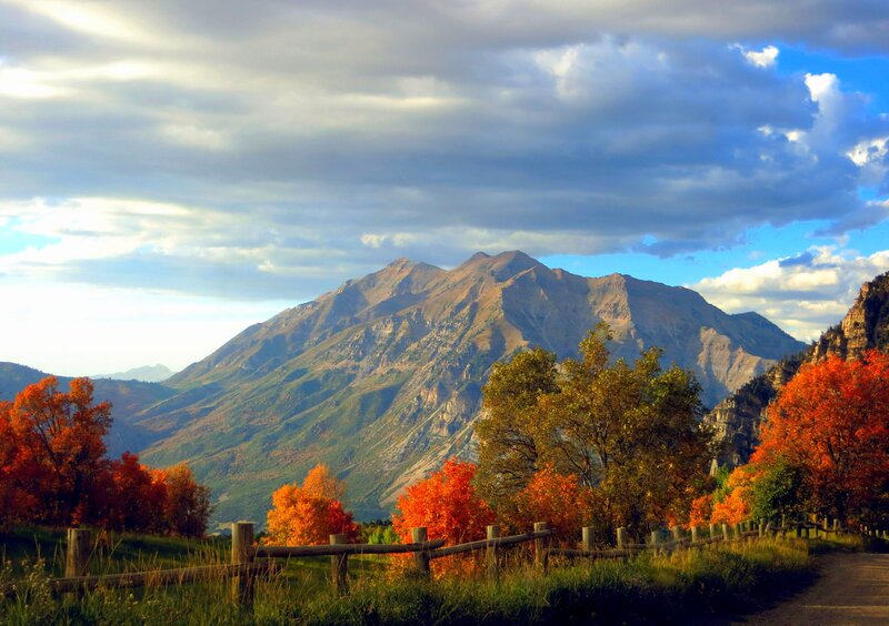 Mountain with Autumn Trees — Orange, Serene