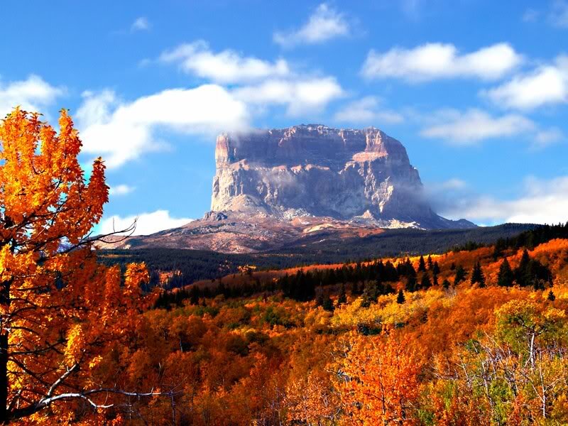 Mountain with Autumn Trees — Orange