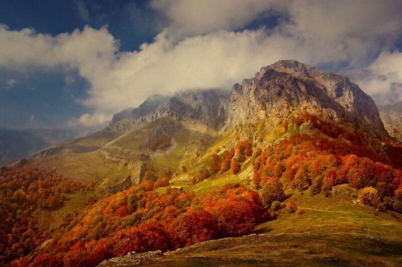Mountain with Autumn Trees