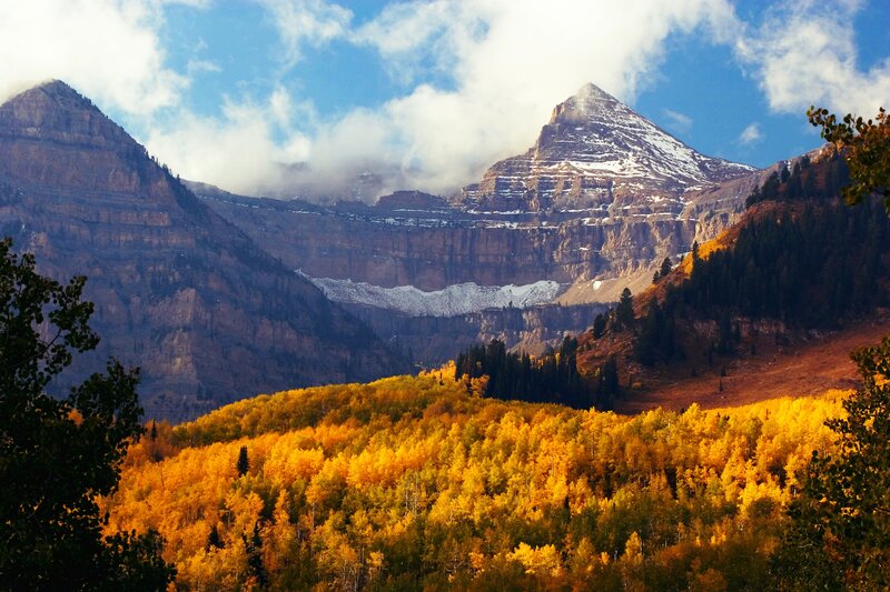 Mountain with Autumn Trees — Yellow
