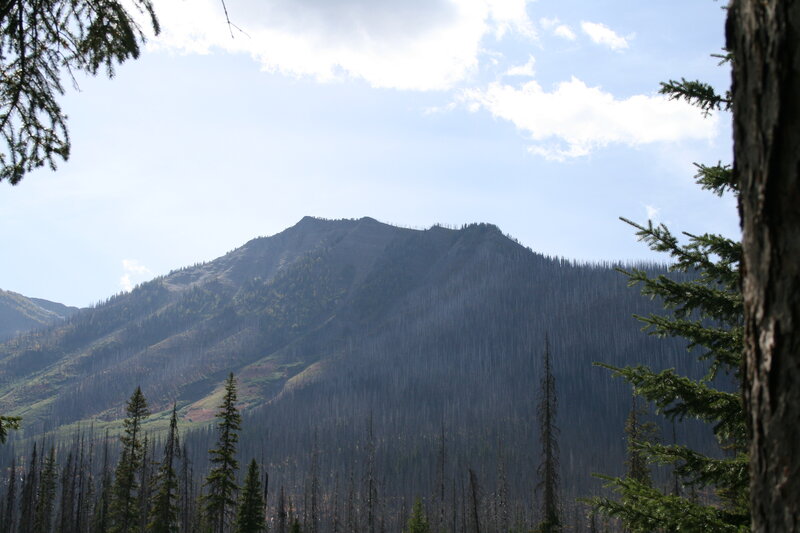 Mountain with Burned Trees