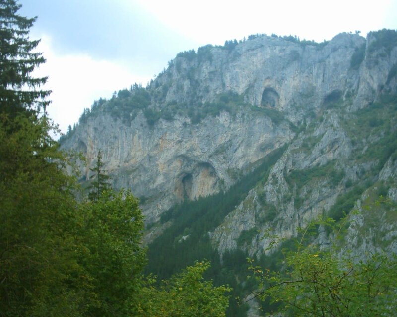 Mountain with caves and forest