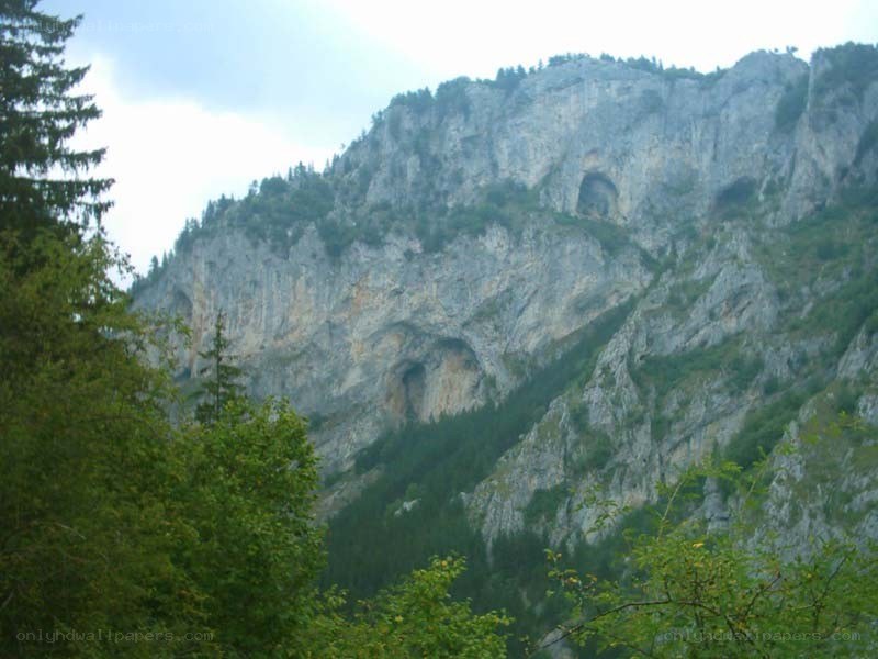 Mountain with caves and forest