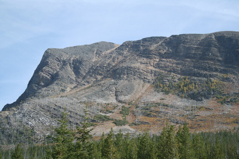 Mountain with Dead Trees