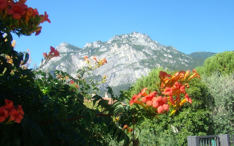 Mountain with Flowers — Green, Serene