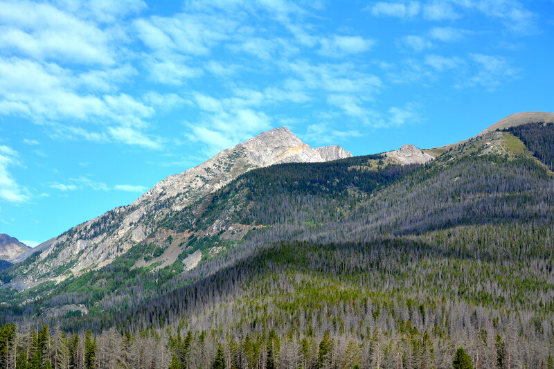 Mountain with Forest — Blue, Serene, Afternoon