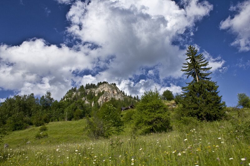 Mountain with Forest — Blue
