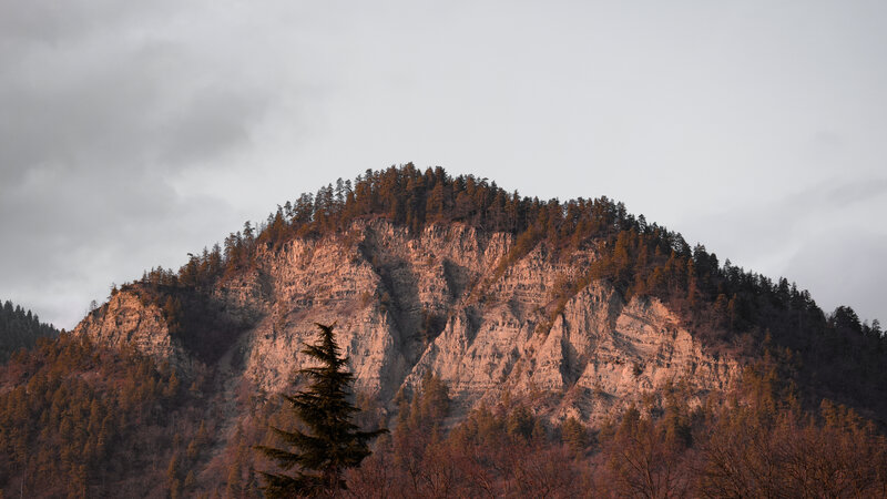 Mountain with Forest — Brown