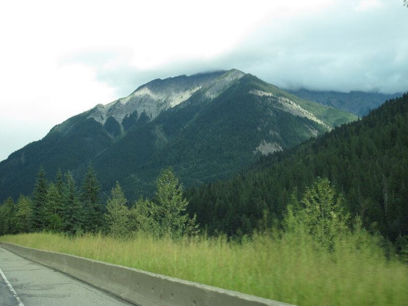 Mountain with Forest — Green, Overcast