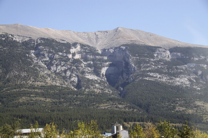 Mountain with Forest — Green, Serene, Afternoon, Photograph, Trees, Buildings