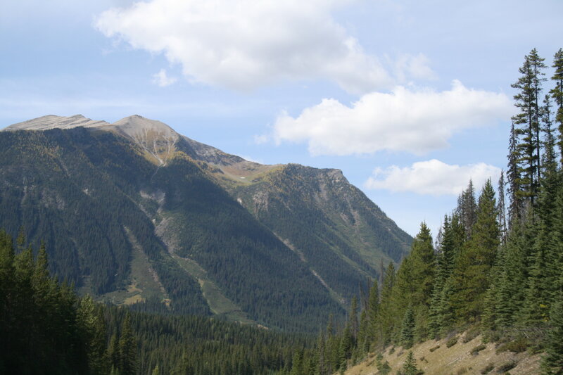 Mountain with Forest — Green, Serene, Afternoon, Photograph, Trees, Clouds