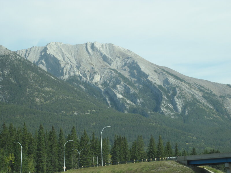 Mountain with Forest — Green, Serene, Afternoon, Photograph, Trees