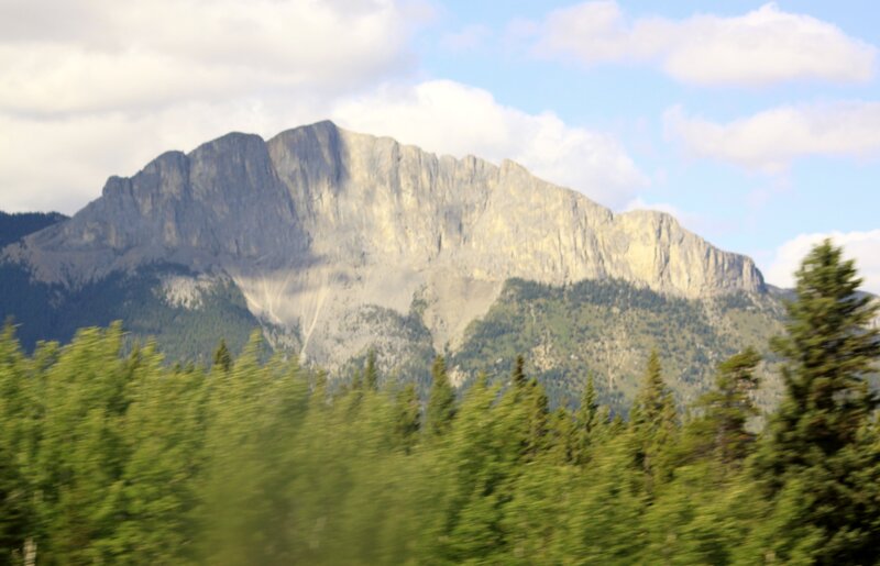 Mountain with Forest — Green, Serene, Afternoon