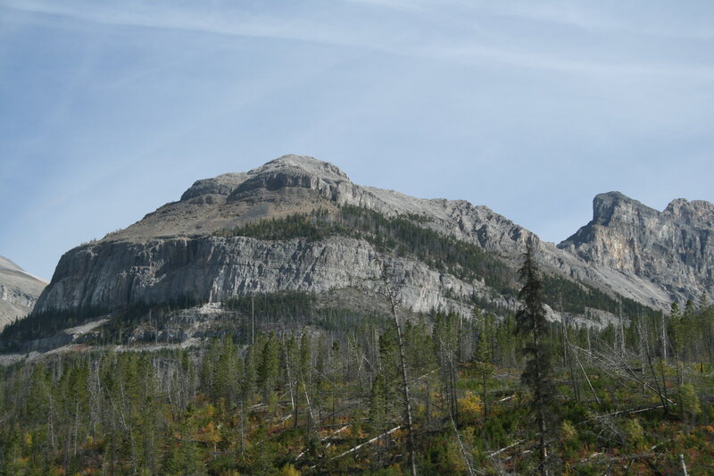 Mountain with Forest — Green, Serene, Autumn