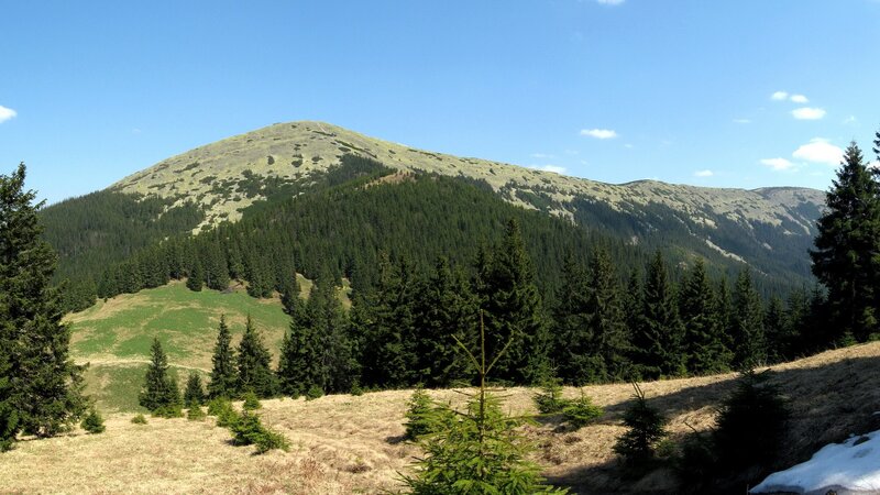 Mountain with Forest — Green, Serene, Spring, Photograph