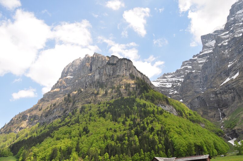 Mountain with Forest — Green, Serene, Spring