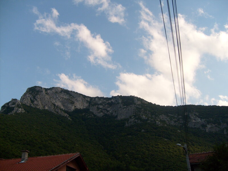 Mountain with Forest — Green, Serene