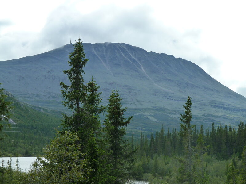 Mountain with Forest — Green
