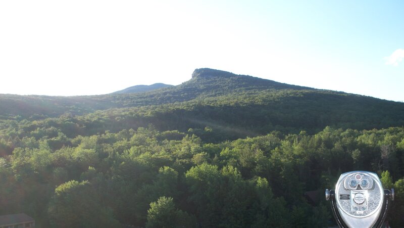 Mountain with Forest
