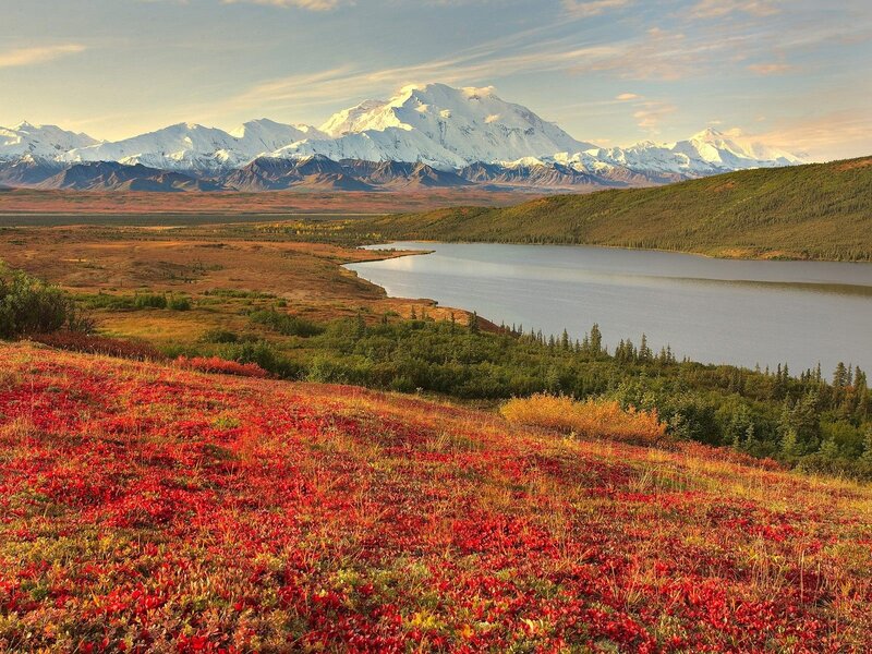 Mountain with Red Foliage