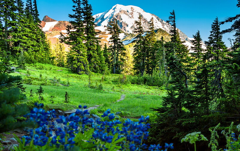 Mountain with Snow and Flowers — Blue, Serene, Summer, Photograph