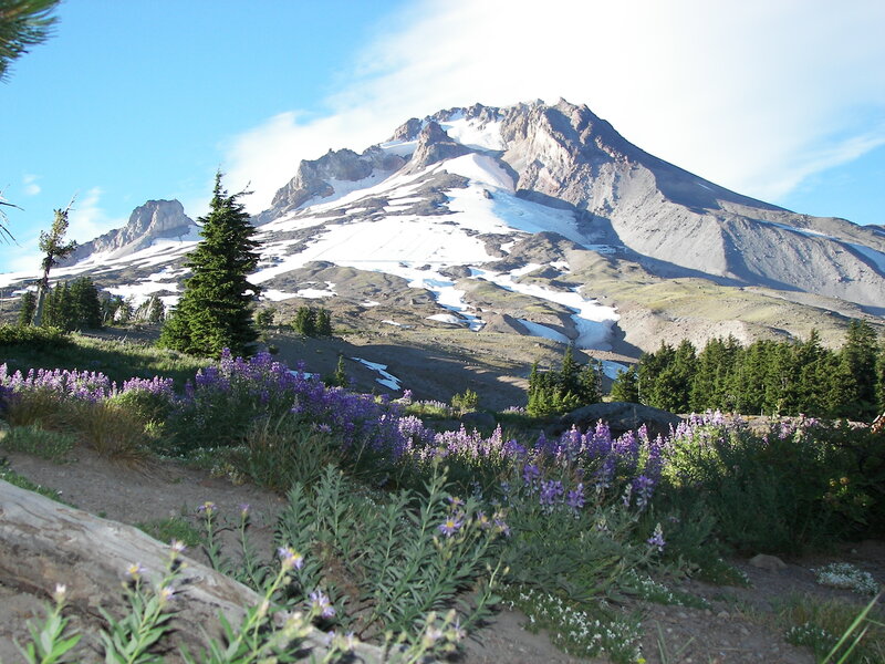 Mountain with Snow and Flowers — Blue, Serene