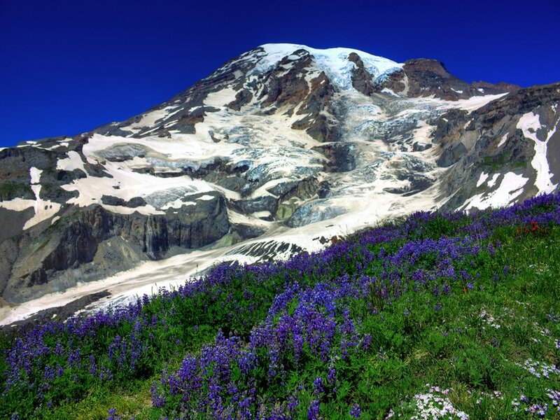 Mountain with Snow and Flowers — Blue